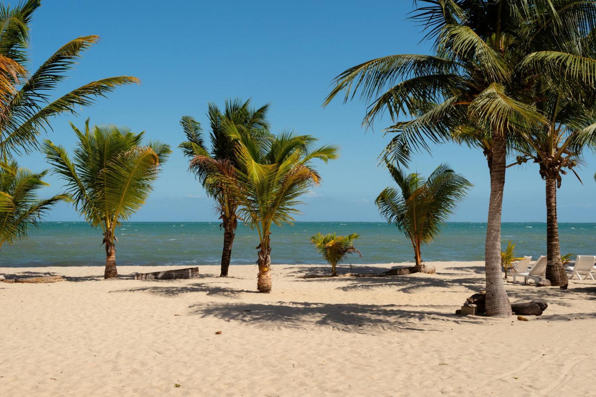 Sandy Feet Beach Resort Placencia Exterior foto